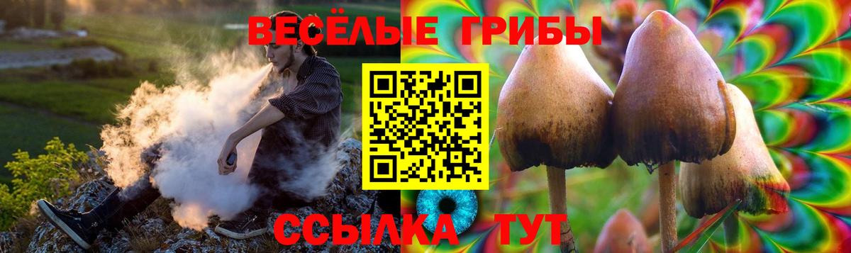 Туймазы  Галлюциногенные грибы ЛСД  Вход с VPN 